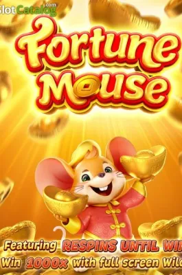 Fortune Mousse en HAPPYWIN COM